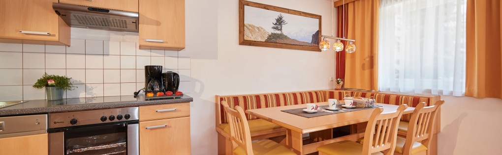 Gemütliches Appartement im Haus Happy Flachau