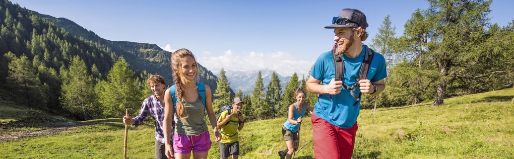 Wandern im Sommerurlaub (c) Flachau Tourismus
